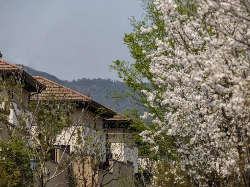 城市“兴交付”Vol.43｜交付杭州的诗意@公望-41