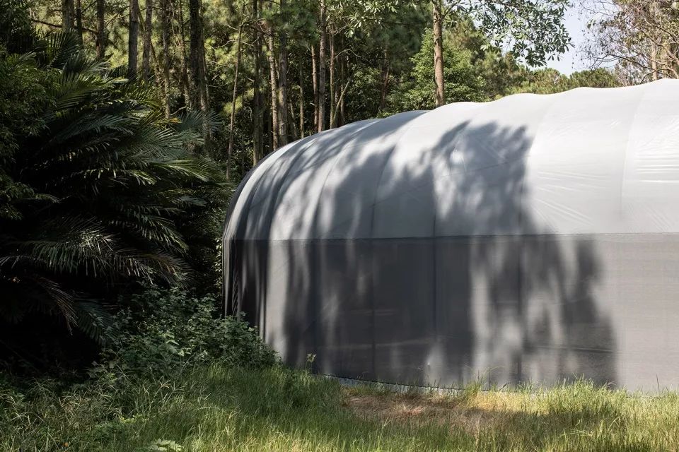 苗栗香格里拉乐园自然教室 | 岩石与银网的生态奇观-50