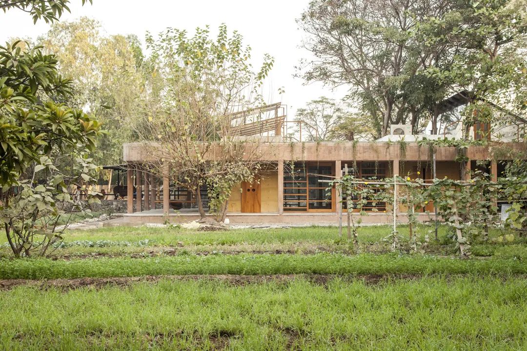 棚 2·0丨印度丨Studio ii-8