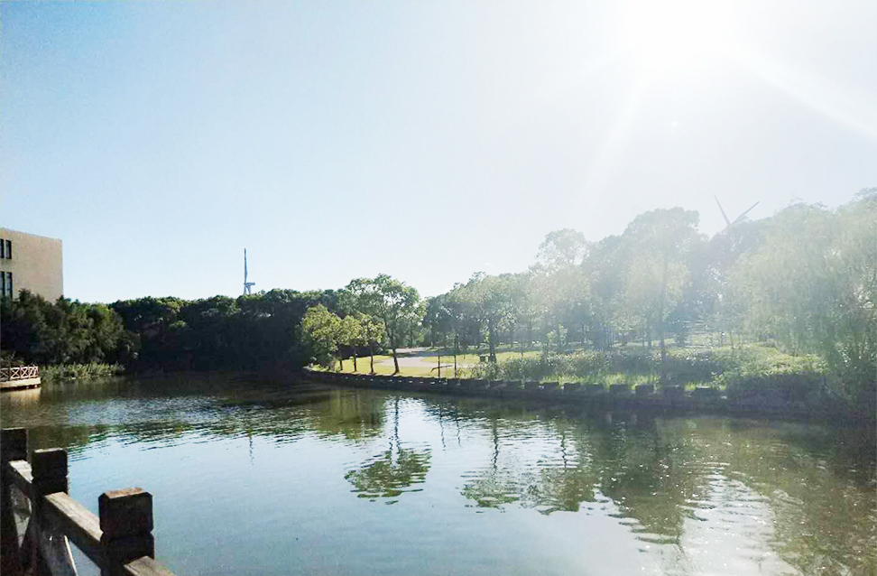 面朝大海,春暖花开——自然环抱的幼儿园设计-28