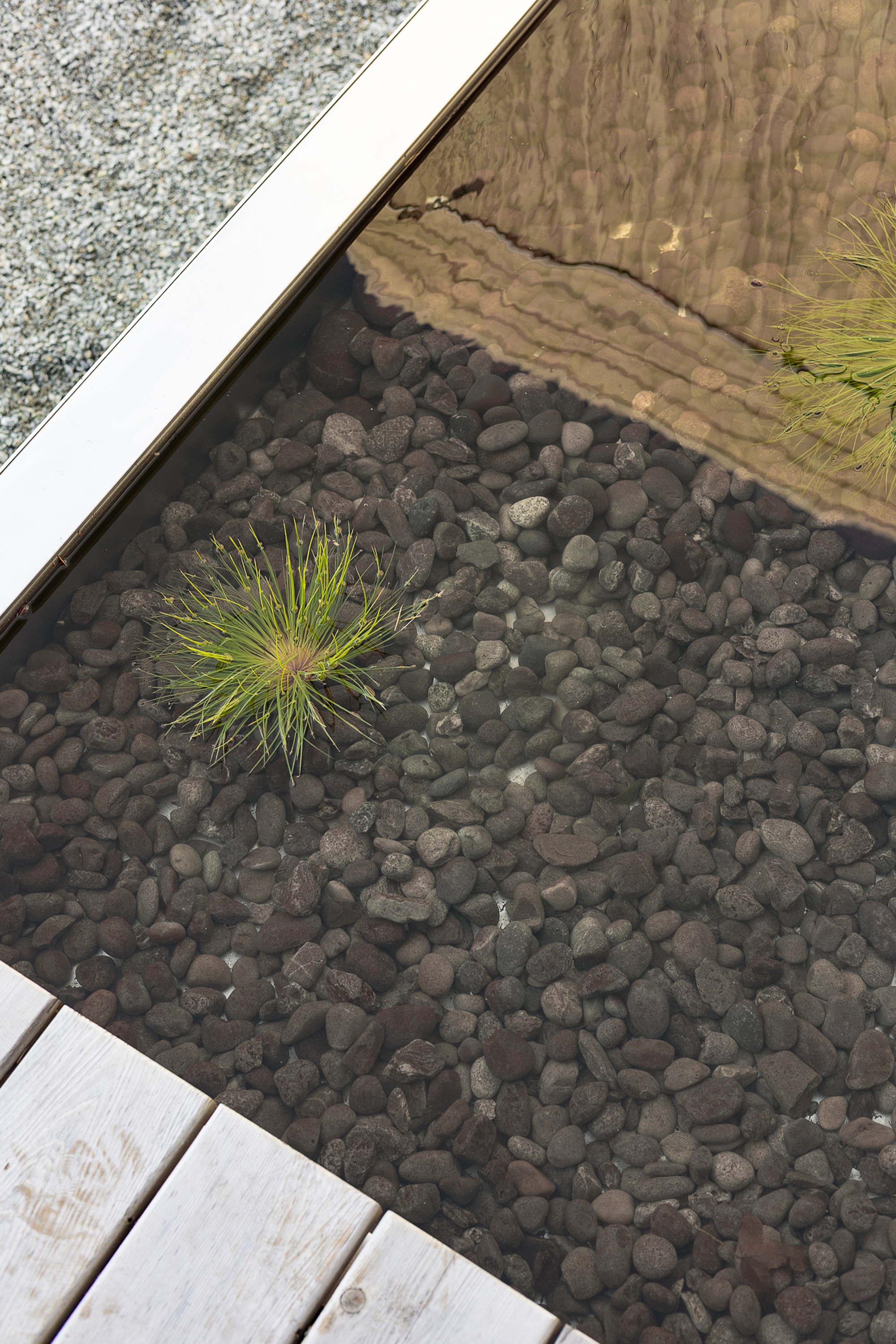 WHIDBEY UPARATI住宅丨WITTMAN ESTES-7