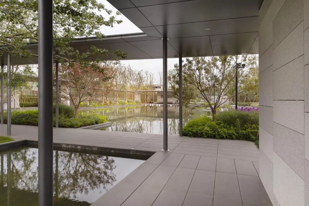 《雁归来》 | 水乡文化的现代解读-81