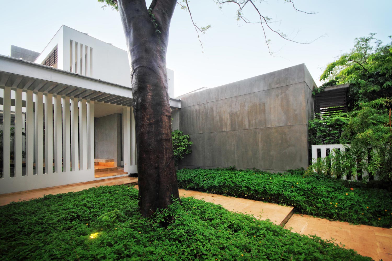 Design inspired by a desire to engage with the landscape and to celebrate the existing trees   CAANdesign  Architecture and home design blog-26