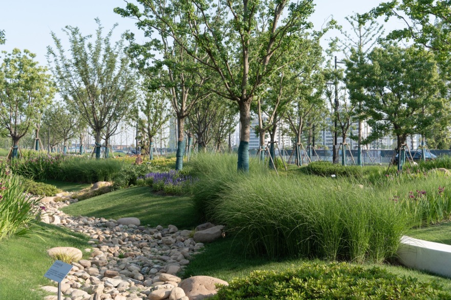 上海金泽镇培雅南路东侧绿地景观设计丨中国上海丨上海联创设计集团股份有限公司景观设计部-183