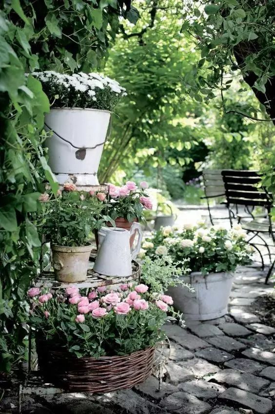 南方小城中的田园生活-29