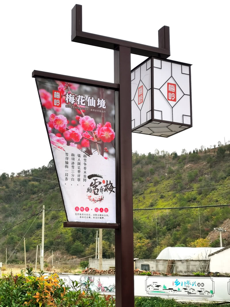 干江梅花仙境 · 打造梅岭特色梅花村-18