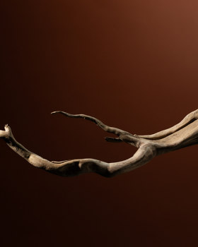 TorriPhoto摄影创作项目