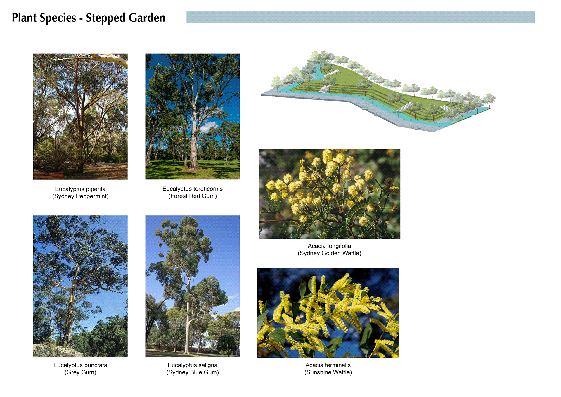 Urban Design | Blackwattle Bay Precinct Redevelopment-63