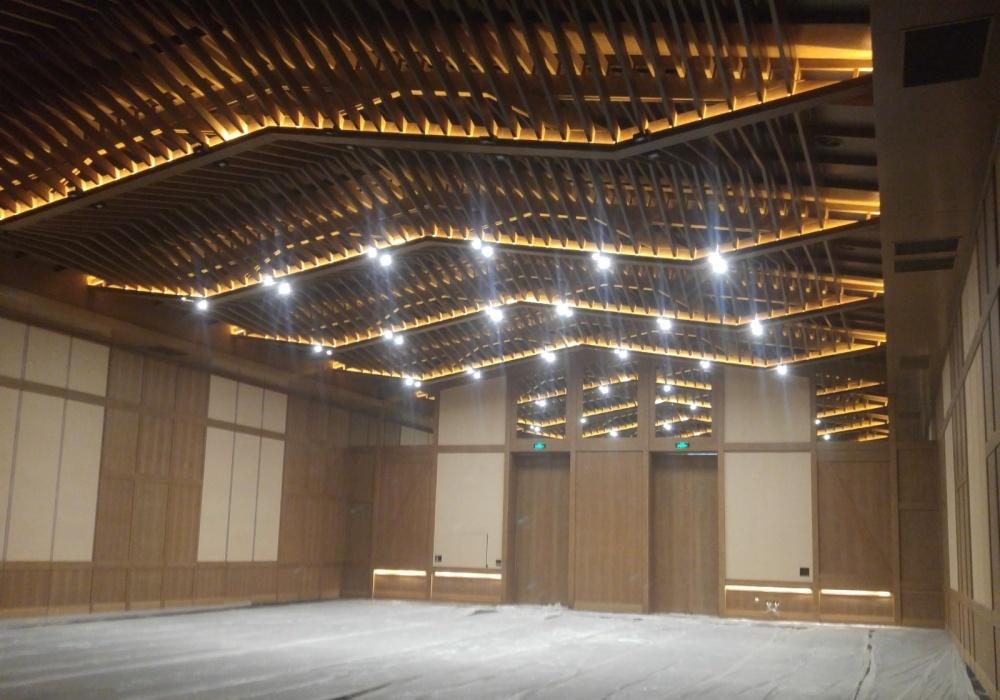 鲁能文安酒店-9