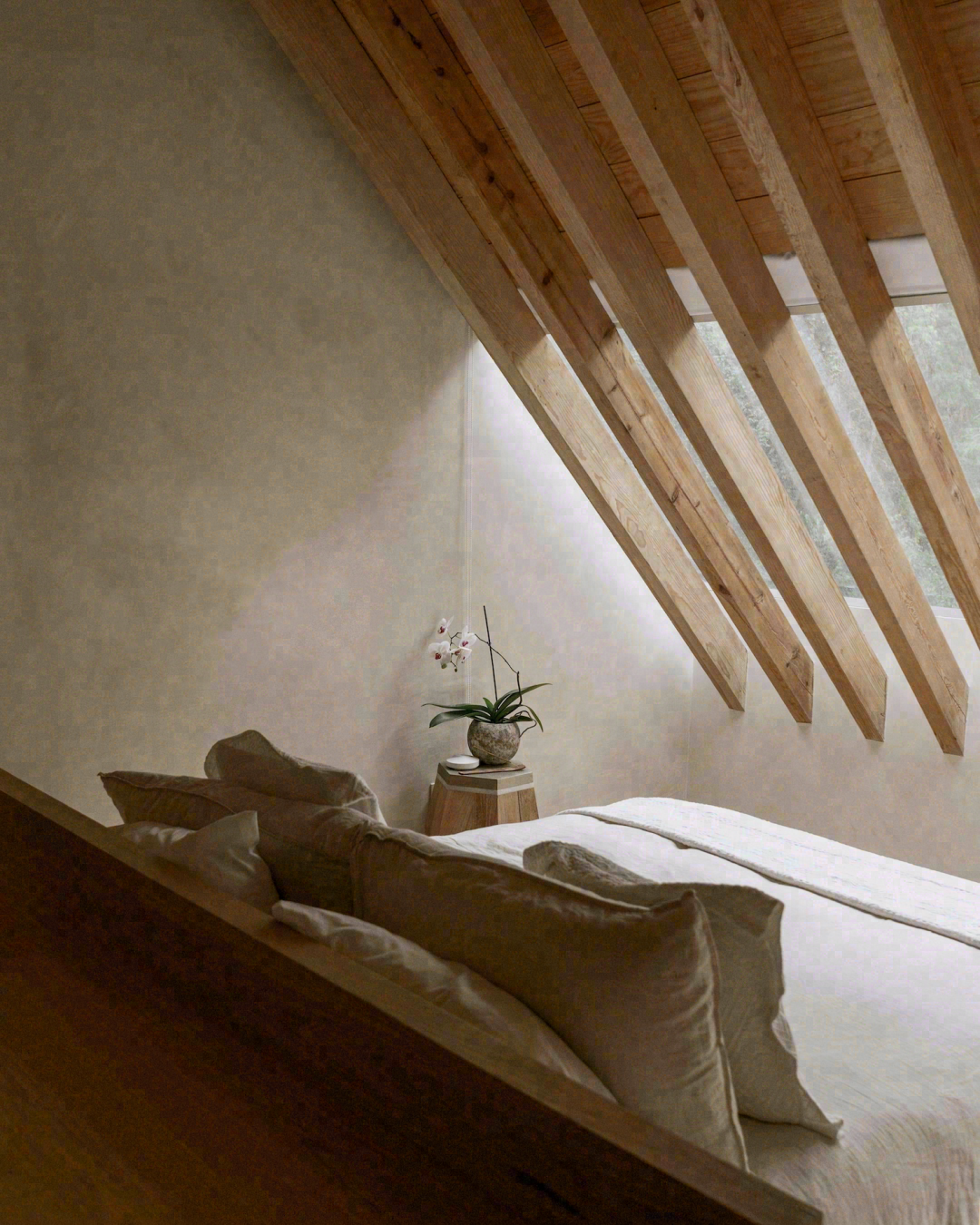 塔马约博物馆丨墨西哥墨西哥城丨Bernardo Quinzaños,CCA-107