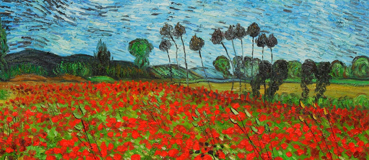 蒙特利尔街头的“向日葵田”丨加拿大蒙特利尔丨TOM II-2