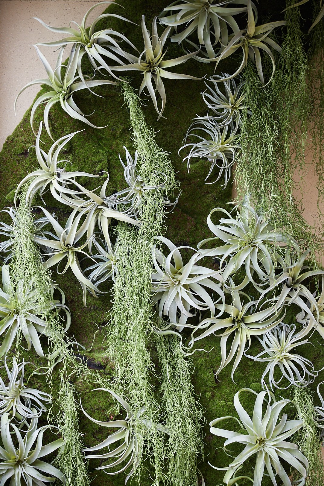 乐尚设计 · 样板间里的生活美学-26