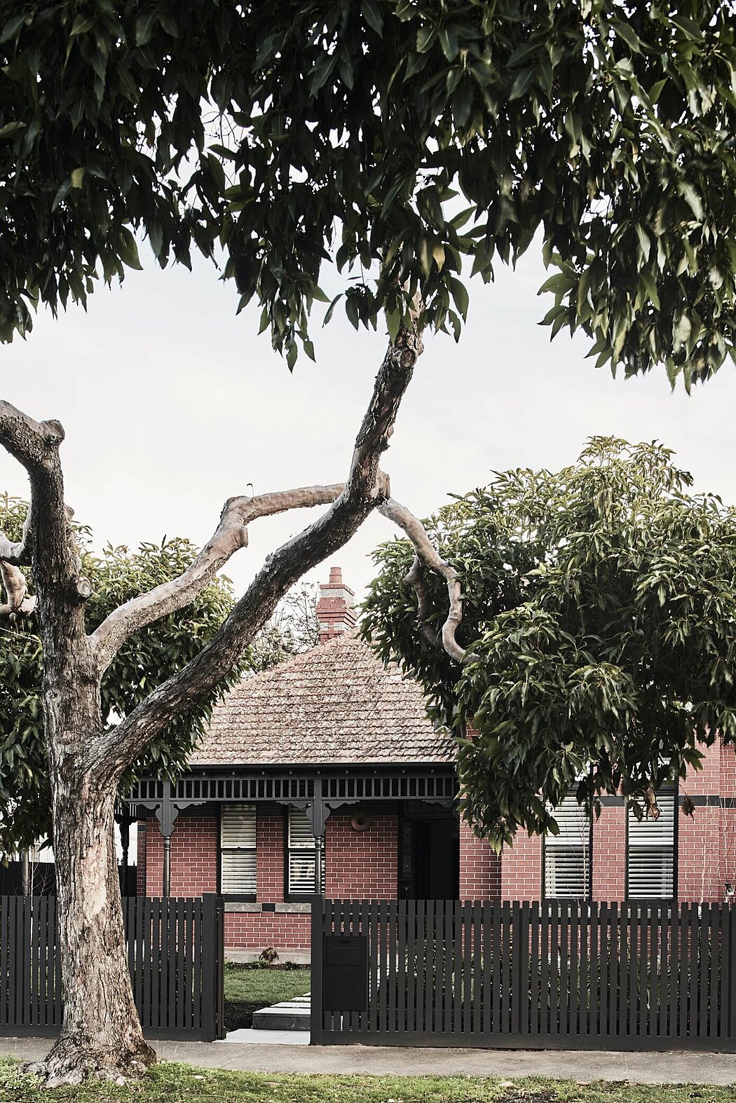 莫尔文豪斯丨澳大利亚墨尔本丨Cassandra Walker Design-13