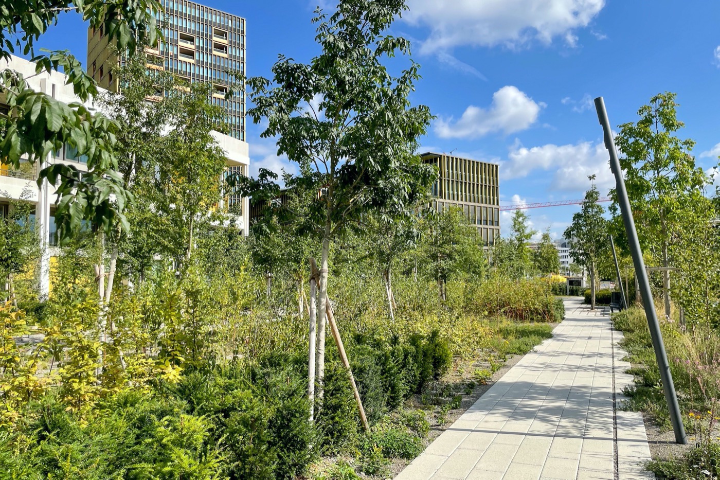 苏黎世“内部花园”改造丨瑞士苏黎世丨mavo Landschaften-8