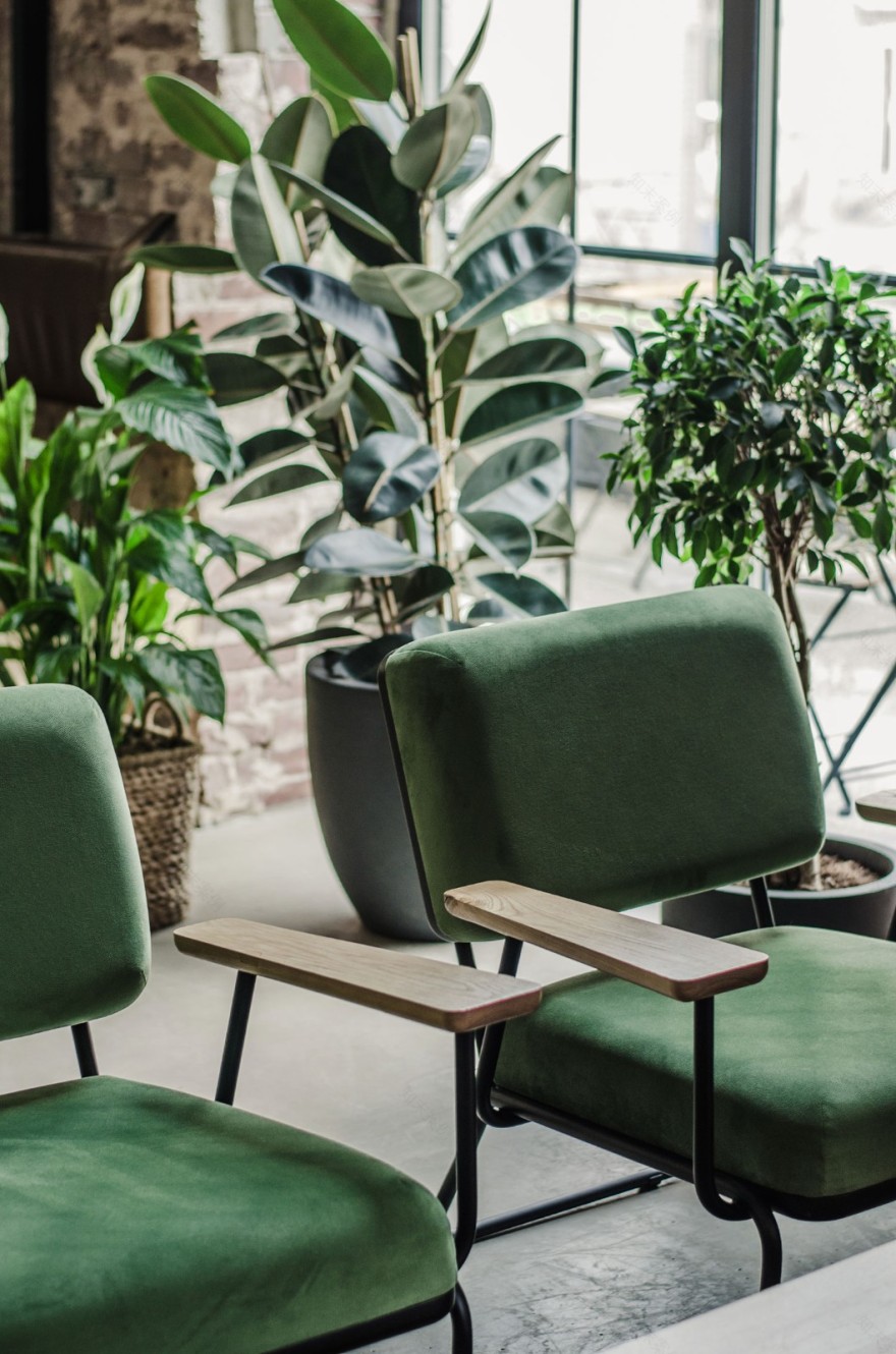 Molodo Zeleno 酒吧-8