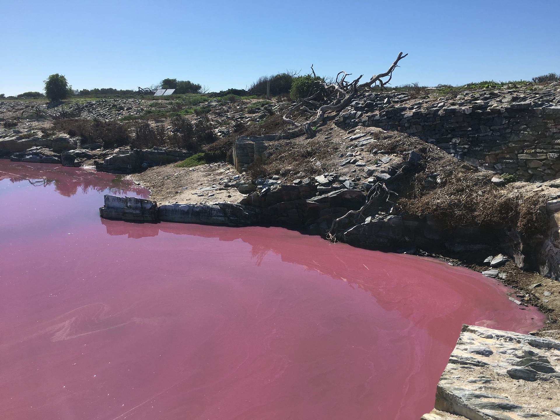 a creased history: UNFOLDING THE PAST-10