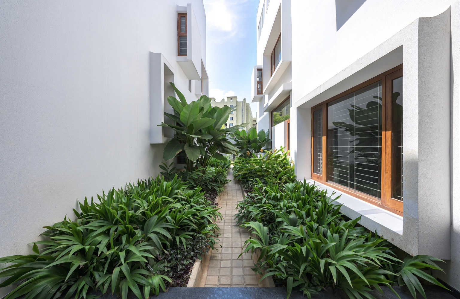 绿意盎然的生态住宅 · Manjodaya House丨印度班加罗尔-30