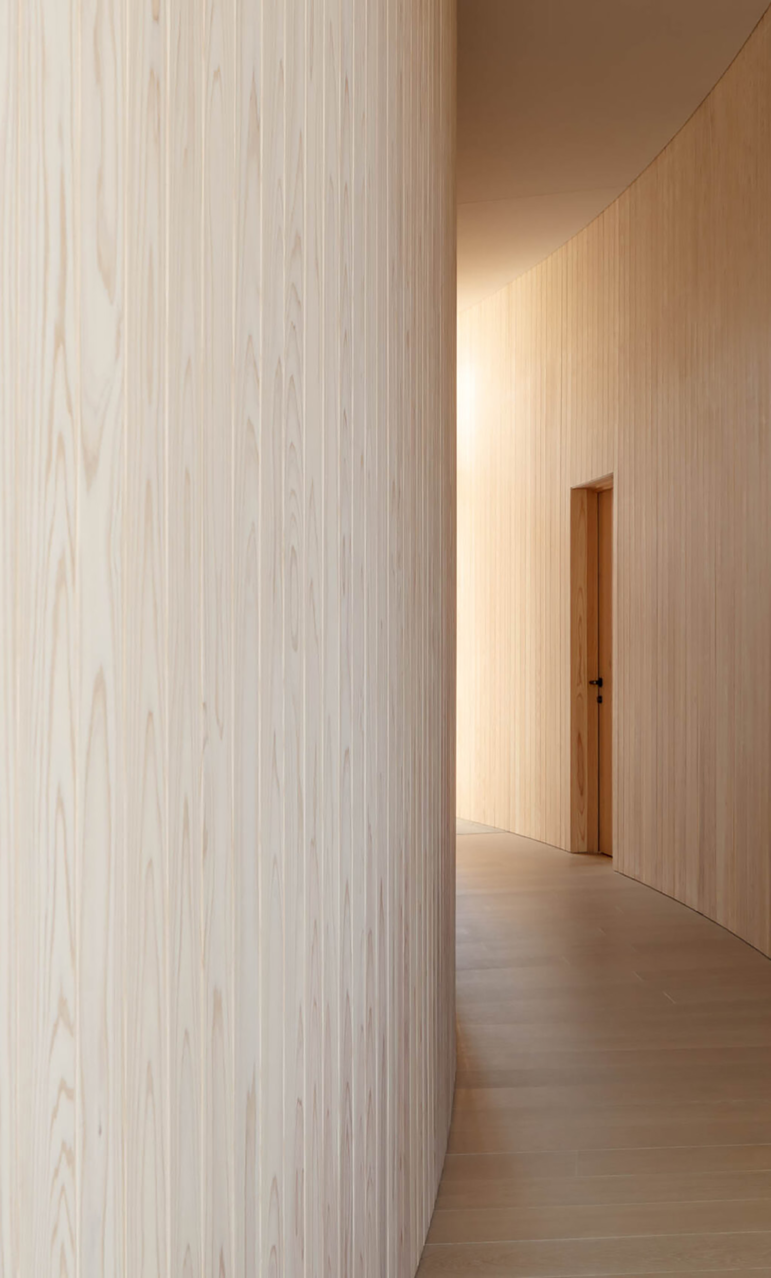 圆锥丨Shuhei Kamiya-73