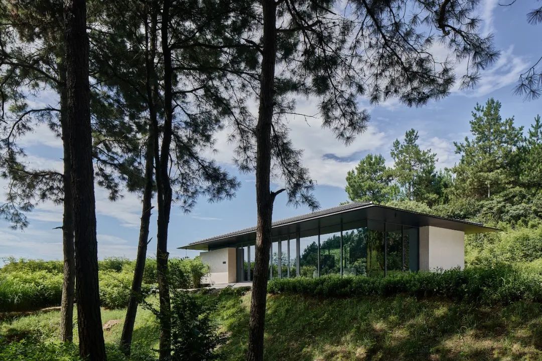 山谷松林里的隐世秘境之旅｜PrivateJourneyinthePineryValley-16