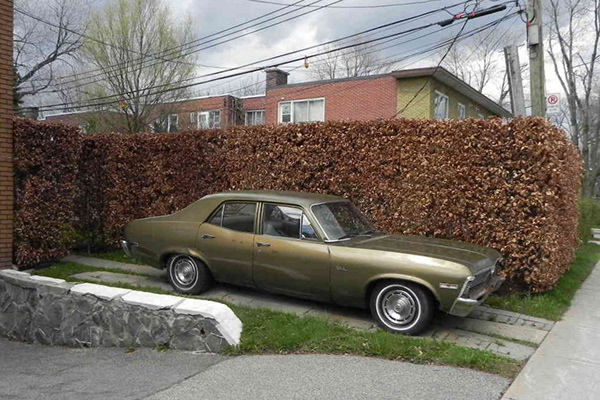 蒙特利尔纪念相册丨加拿大蒙特利尔-33