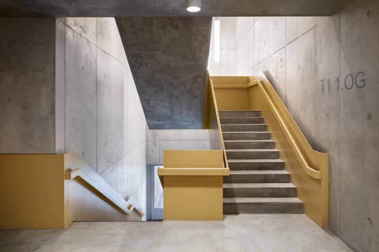 哥白尼高级中学体育馆丨德国柏林丨HerbstKunkler Architekten-14