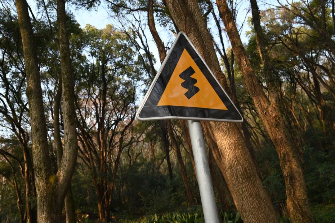 陈海峰  影像纪实 / 东湖之上-14