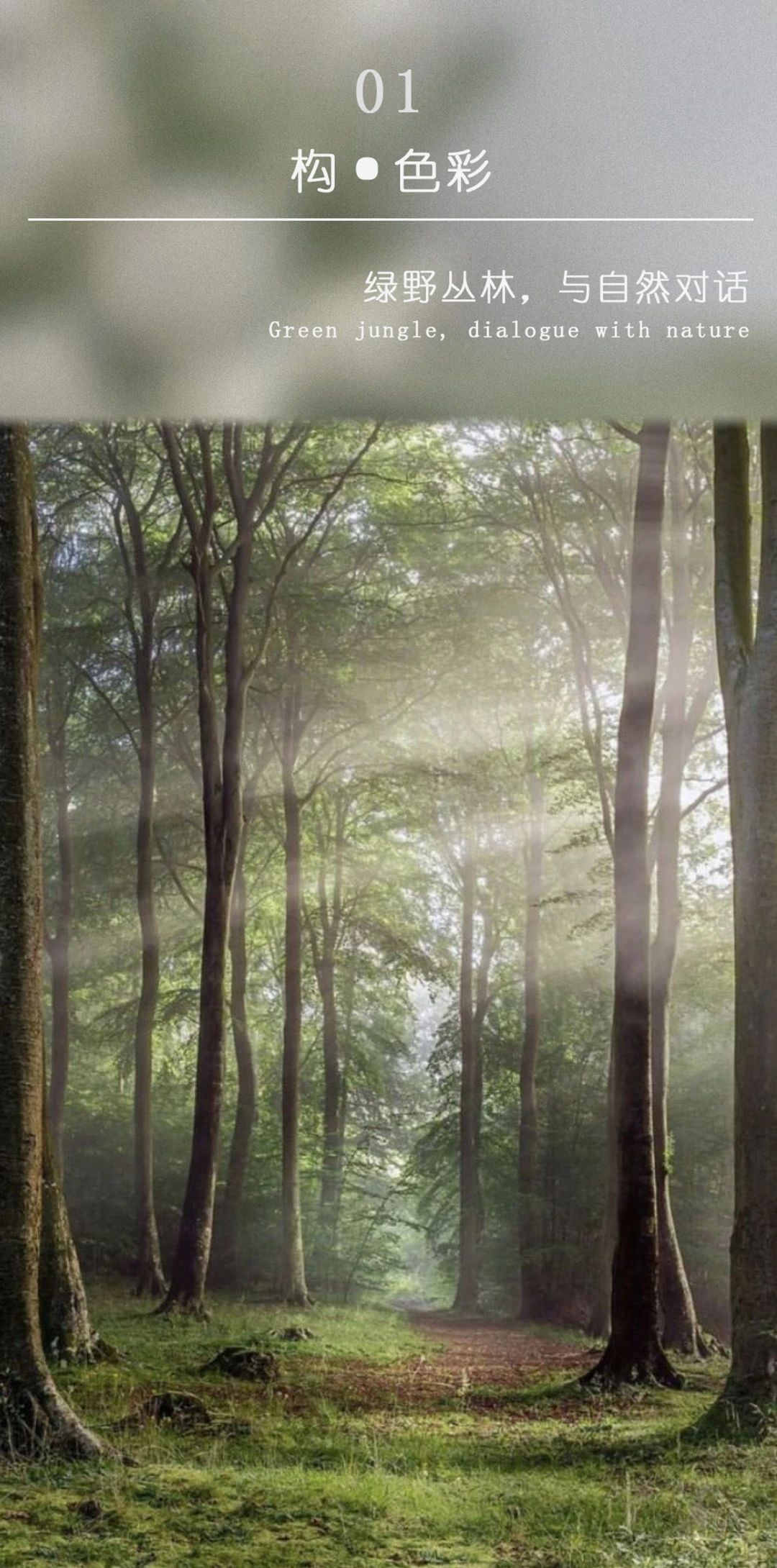 都市中的绿色疗愈办公空间设计丨广州GBD设计机构-7