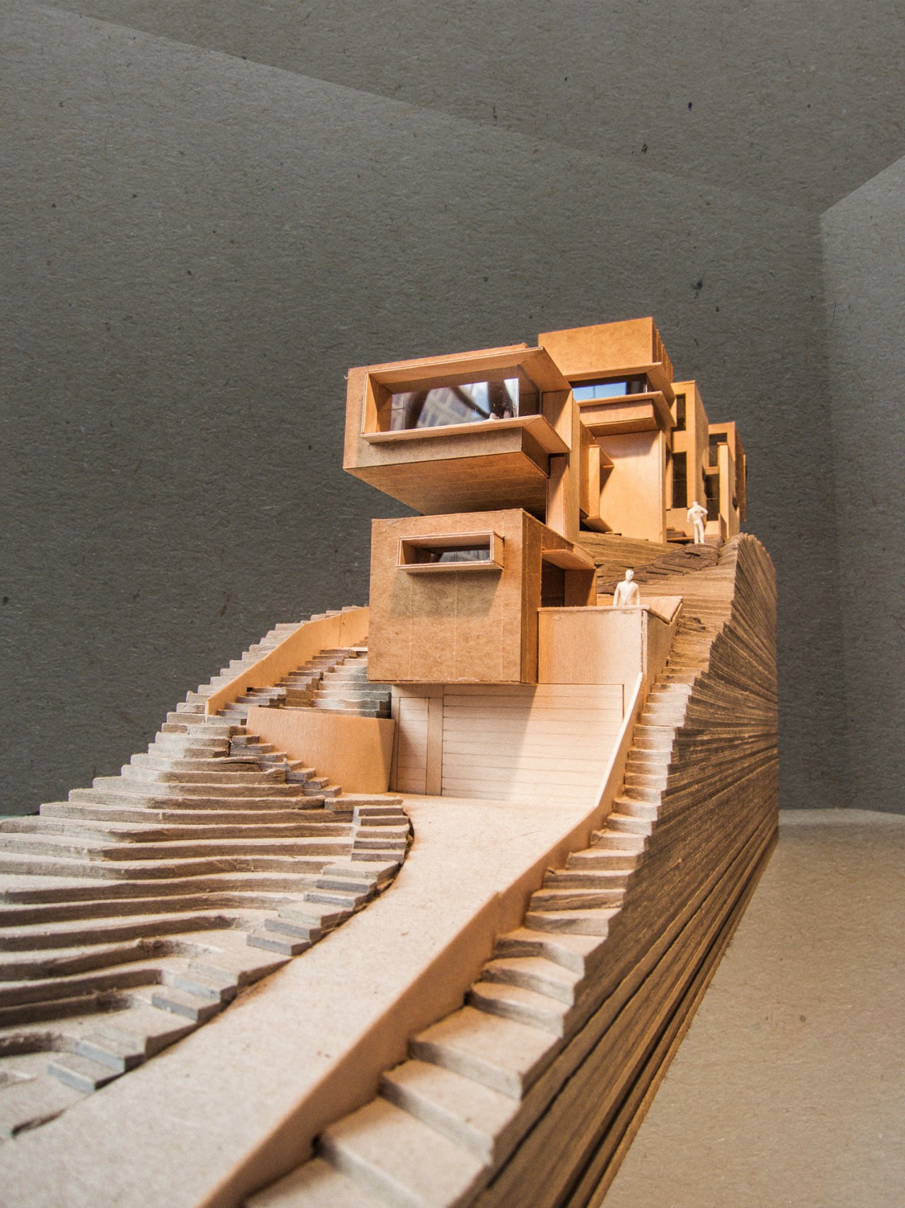 丨澳大利亚新南威尔士-24