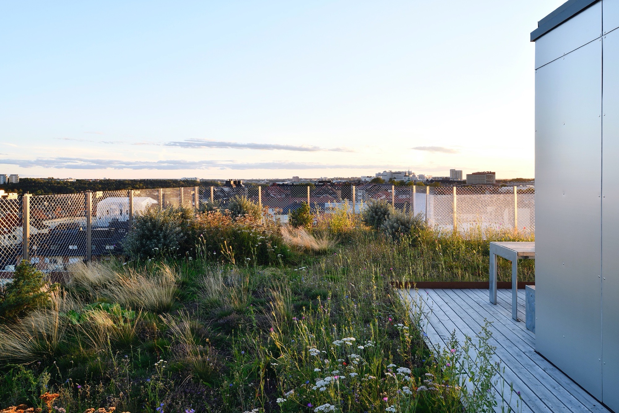 绿色屋顶花园丨Axeloth Arkitekter-0