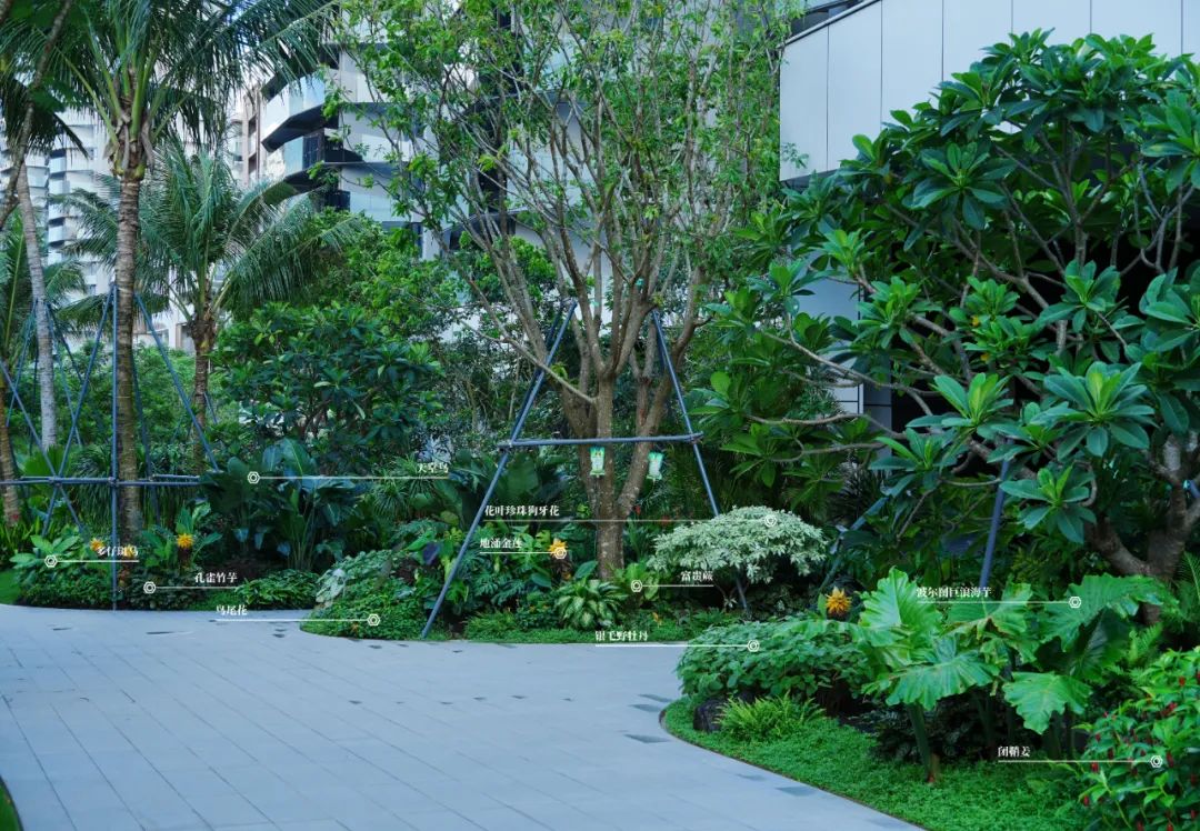 于热带秘境中编织生活美学|江东麓岛阅海澜岸2期花境项目-59