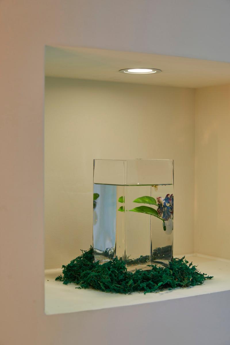 30 坪韩式家居咖啡厅 精致温馨空间设计-19