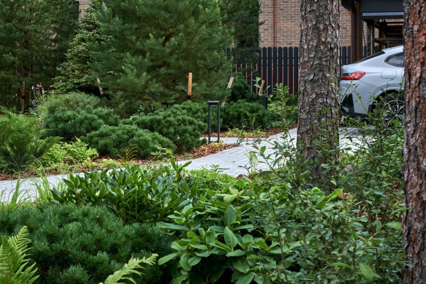 茉莉藓丨俄罗斯丨«ХВОЯ ландшафтное строительство»-11