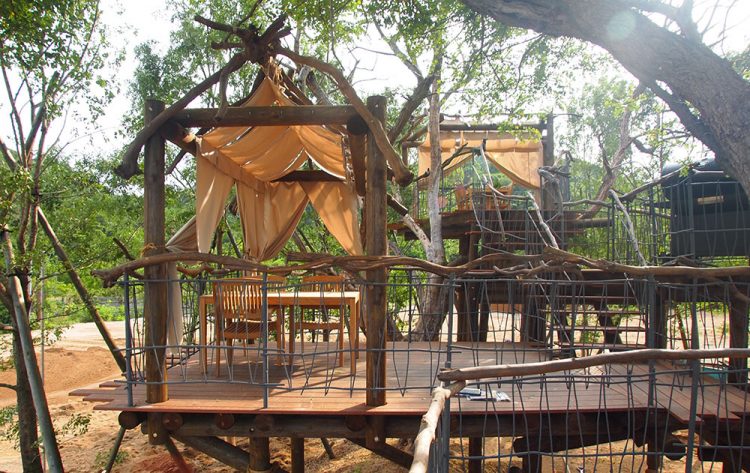 Tree terrace on uninhabited island-11