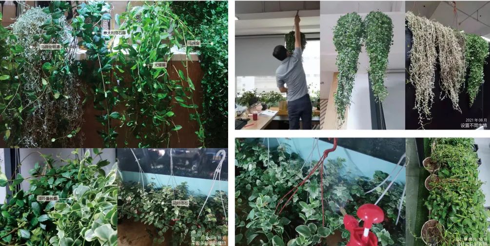 深圳华润万象前海商业花境设计及落地丨中国深圳丨深圳本末度景观设计有限公司-107