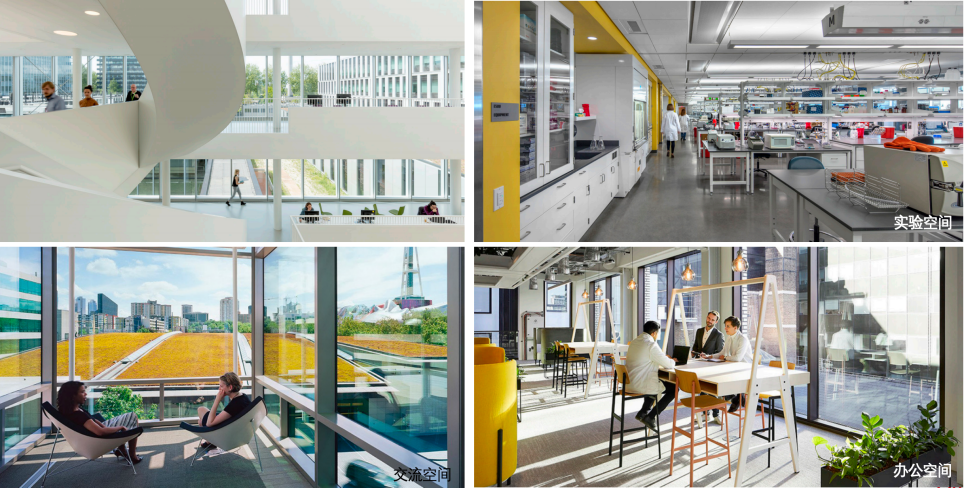 北京的新变量：成为那2%的变量识别者-105