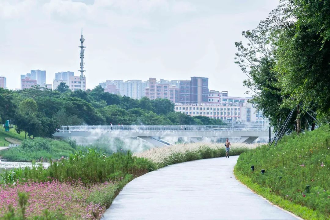 茅洲河碧道·光明段生态修复试点-114