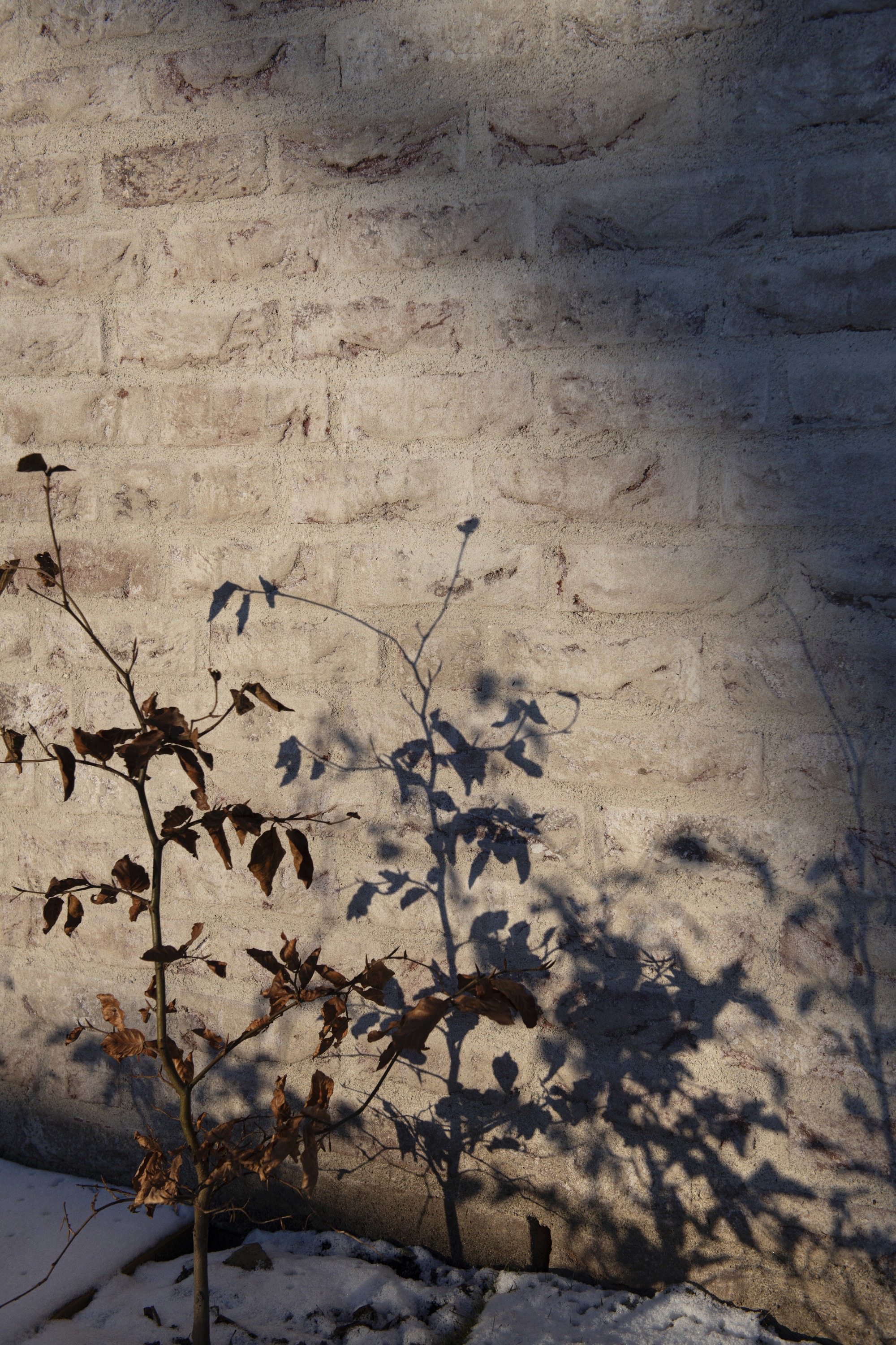 奥斯陆住宅区丨NorwayOslo丨Reiulf Ramstad Architects-29