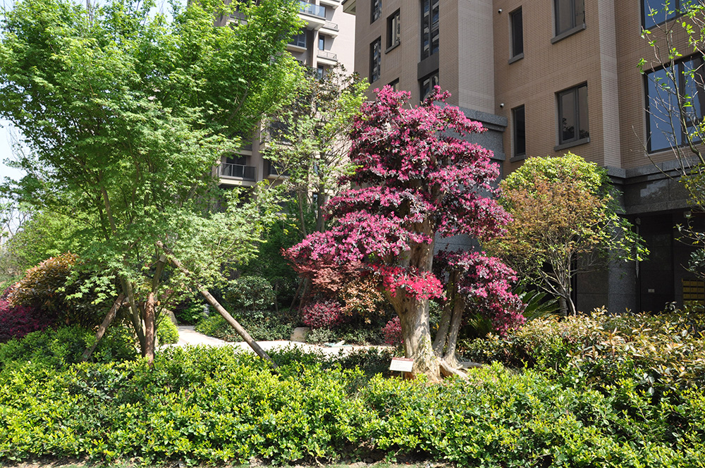 Oriental Eparchy in Hangzhou - Residence - L&A GROUP | To Create a Better Environment-28