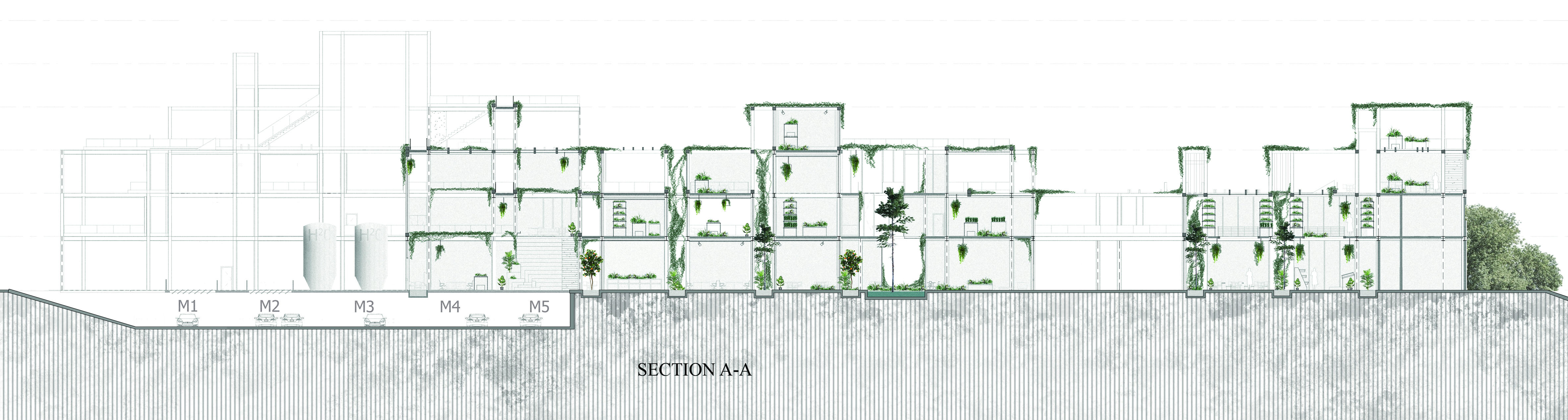 农业社区空间中心丨埃及亚历山大-14
