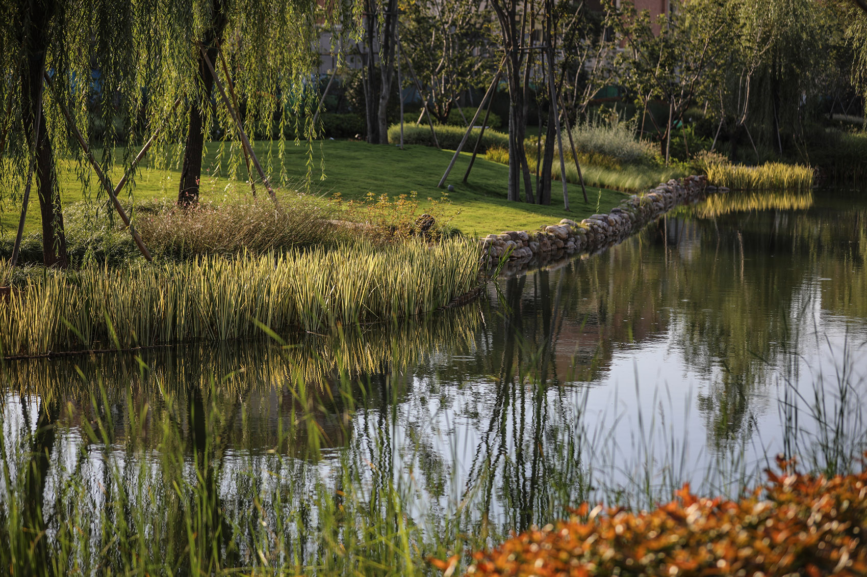 郑州西川生态修复景观-12