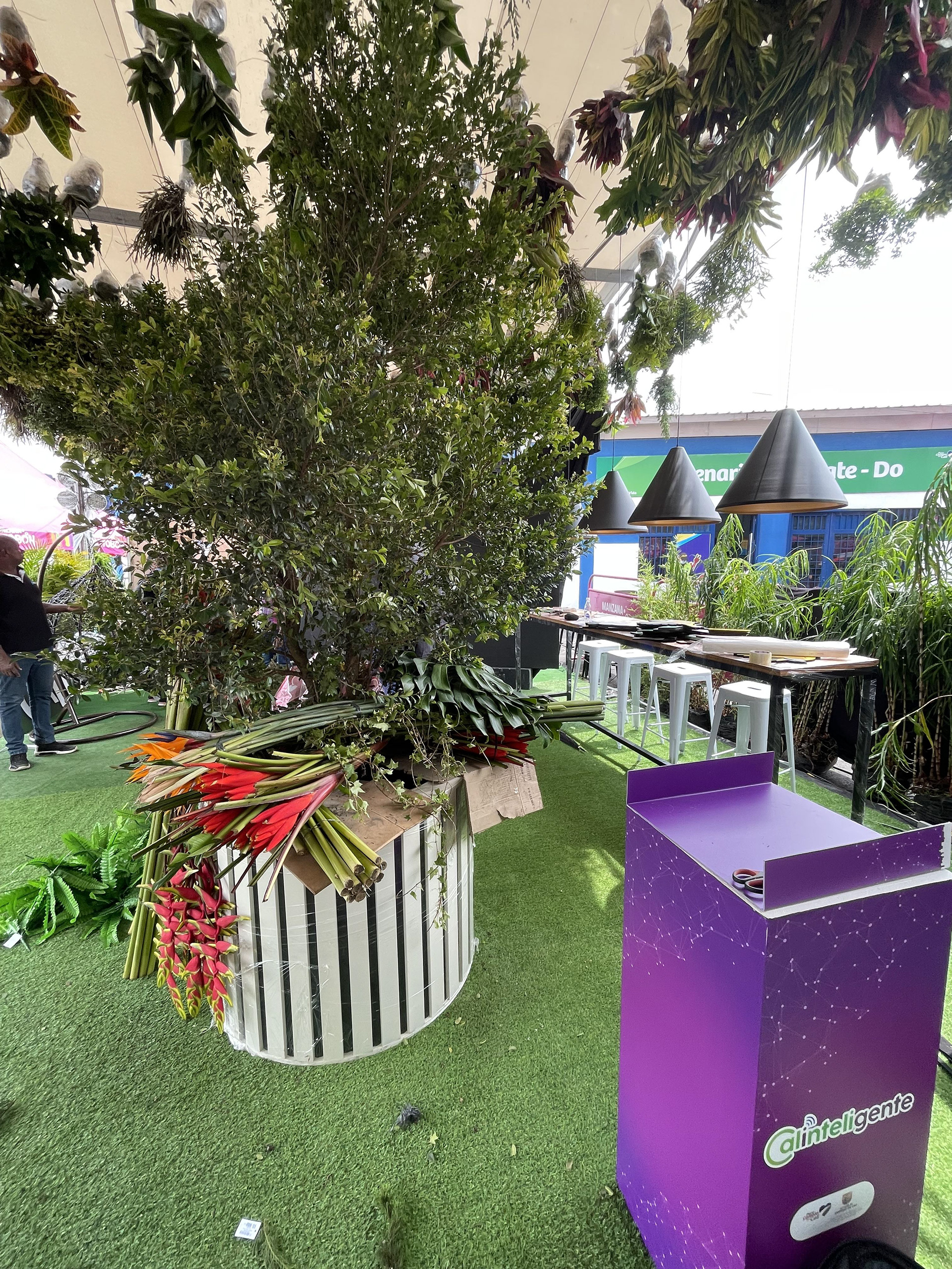 Stand Juegos Panamericanos - Valle del cauca-24