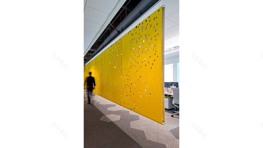 全国搜索后,Quest 在坦帕打造“神经中枢”办公空间-3