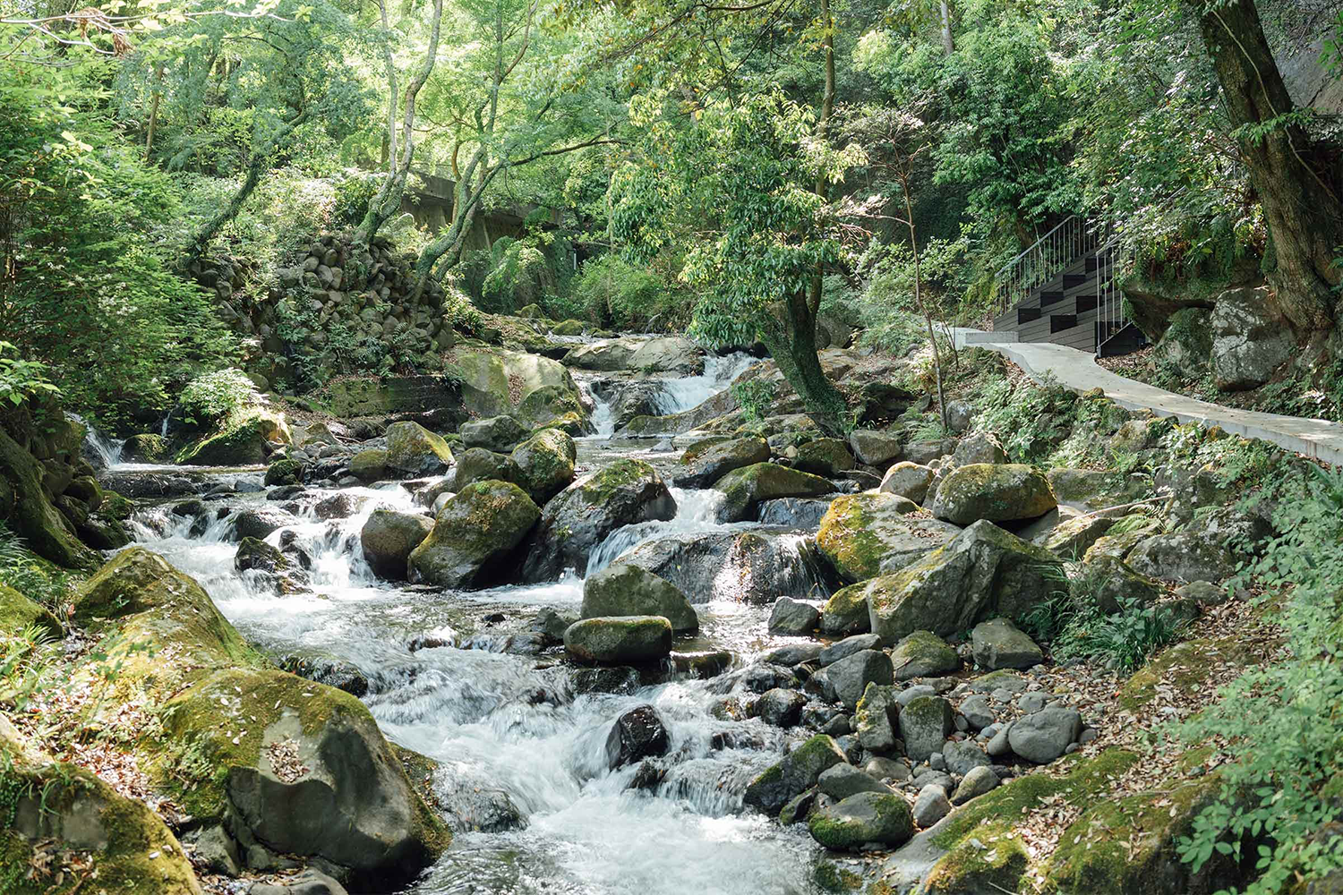 日本汤河原温泉 Yugawara Soyu Books and Retreat，宁静的森林庇护所-12