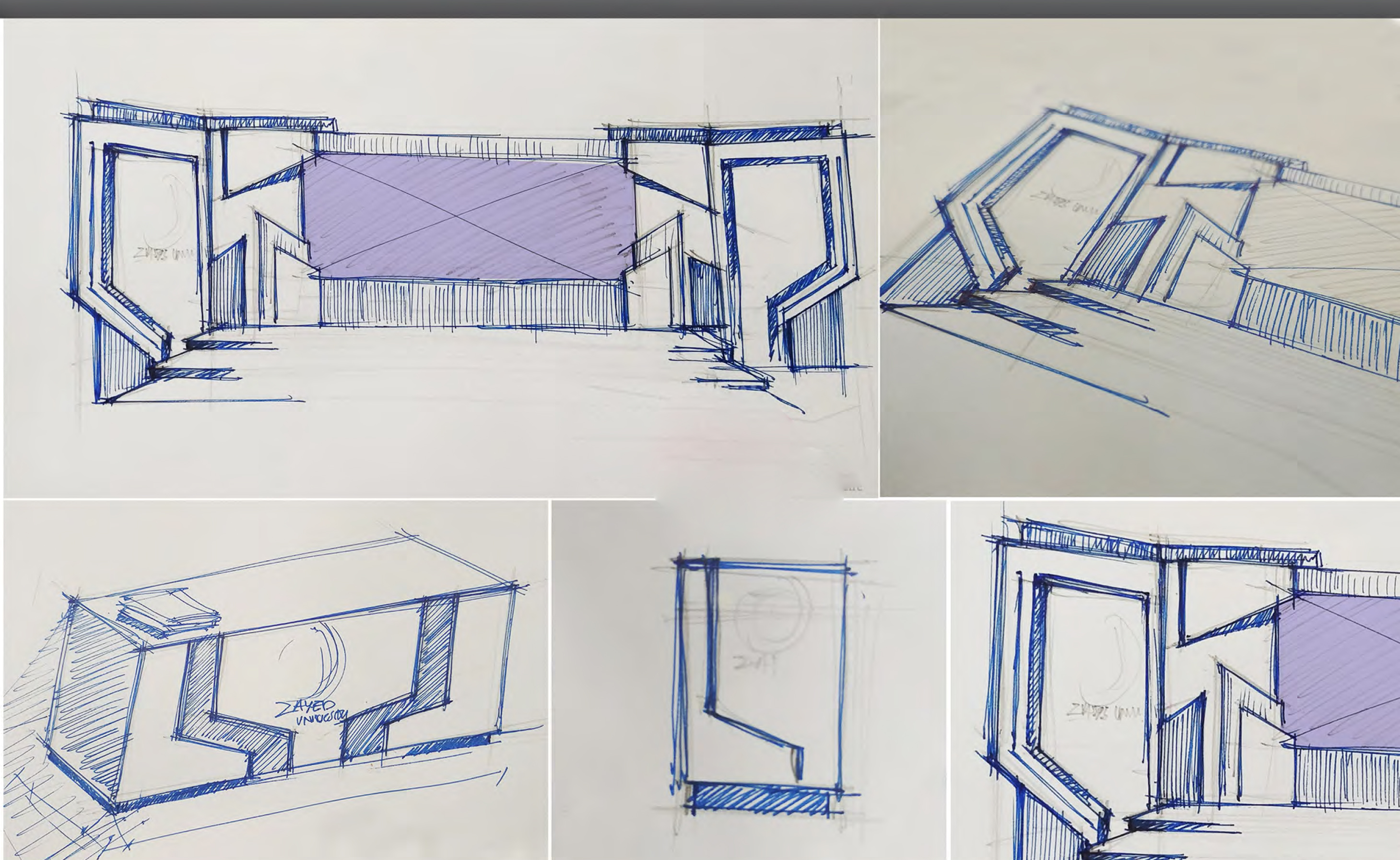 扎耶德大学活动-2