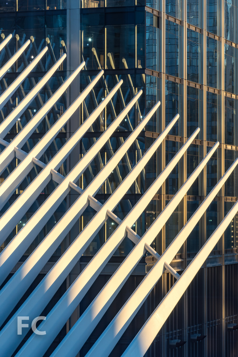 World Trade Center — FIELD CONDITION-4