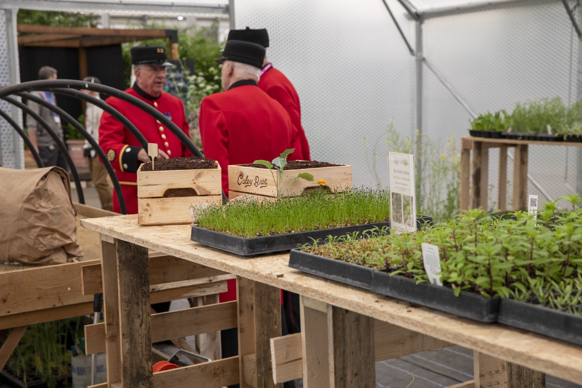 2024切尔西花园展获奖作品丨英国丨Royal Horticultural Society-476