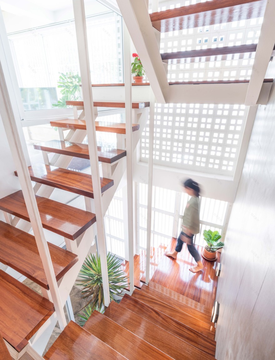 曼谷双宅别墅,灵活空间与自然融合-18