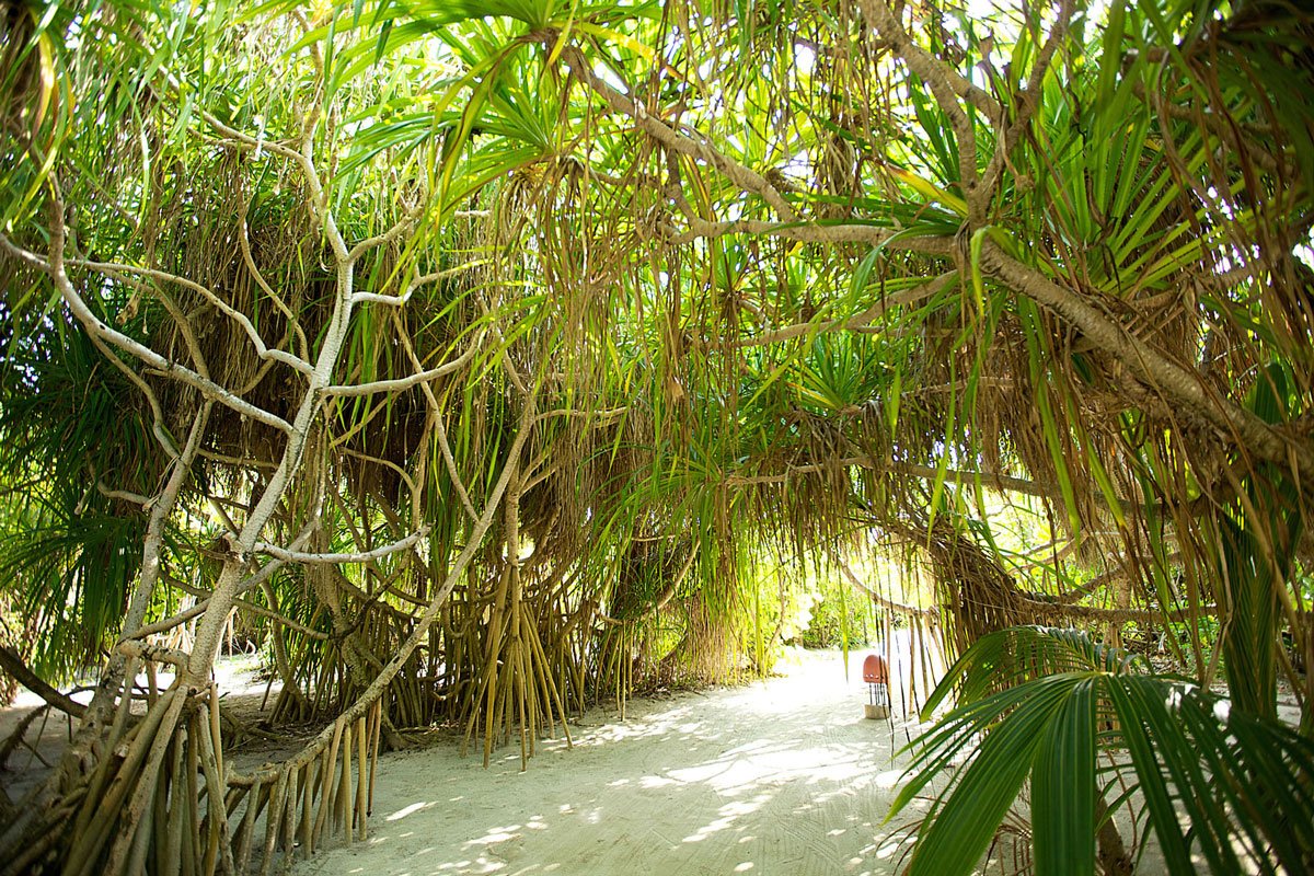 Kanuhura Resort酒店丨马尔代夫-15