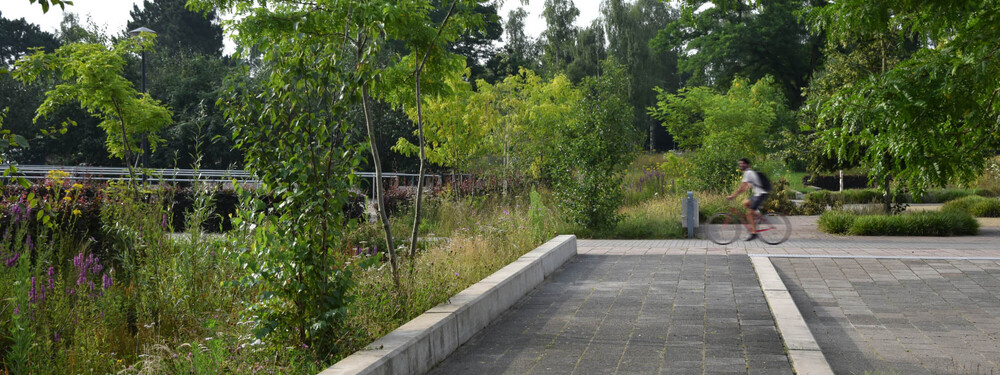 Uden's College - Grasveld Tuin- en Landschapsarchitecten-18