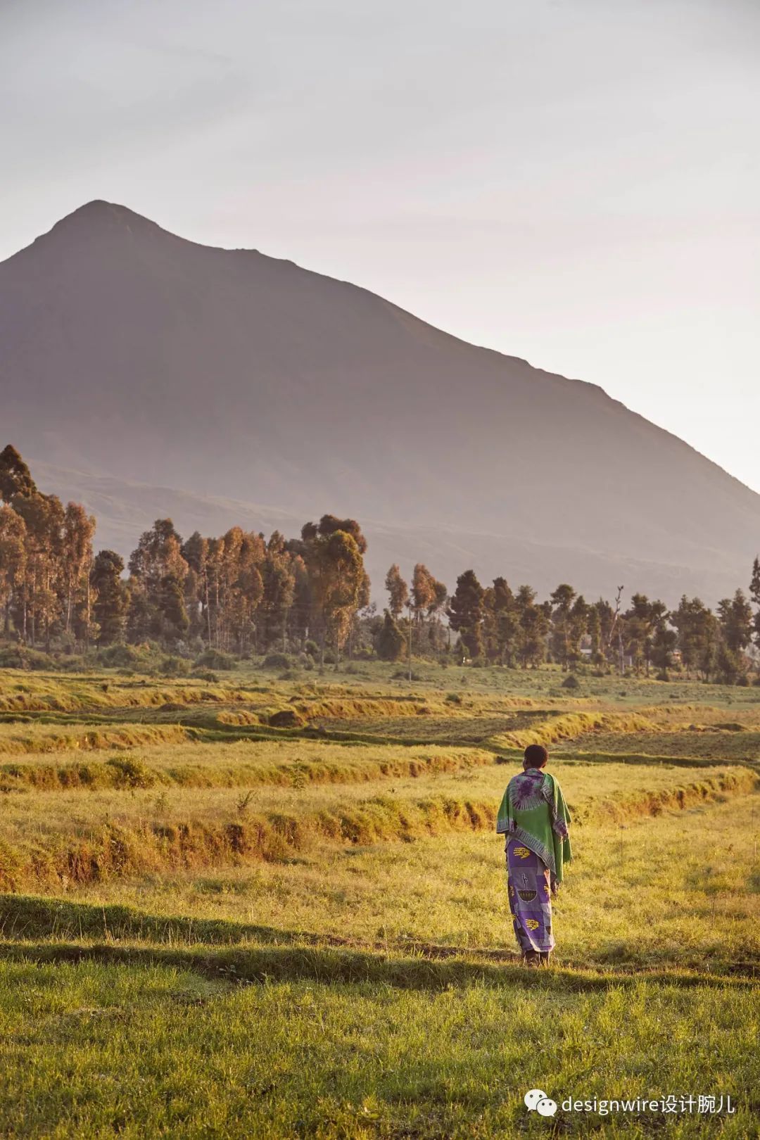 惊艳!全球最新 3 家 One&Only 酒店设计亮点解读-105